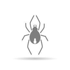 Spider icon