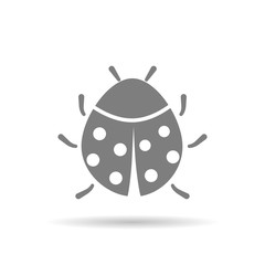 Ladybug icon