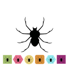 Spider icon