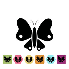 Obraz premium Butterfly icon