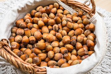 Many hazel nuts in basket