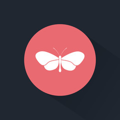 Butterfly icon