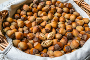 Many hazel nuts in basket
