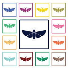 Butterfly icon