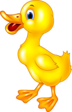 Cartoon baby duck isolated on white background