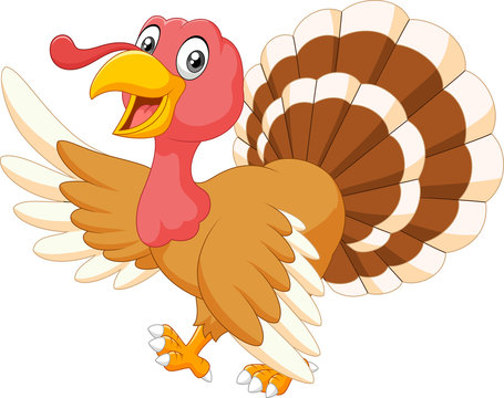 Cartoon turkey waving isolated on white background