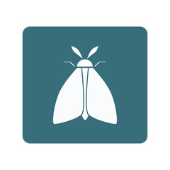 Butterfly icon