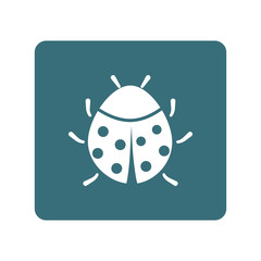 Ladybug icon