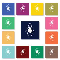 Spider icon