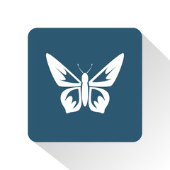 Butterfly icon