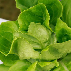 Wheel tracks on red color marshy road after raining