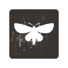 Butterfly icon