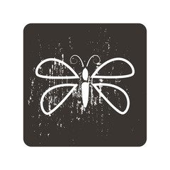 Butterfly icon