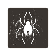 Spider icon