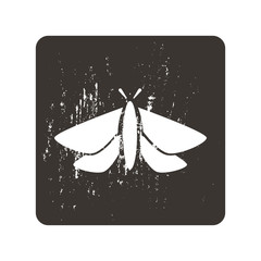 Butterfly icon