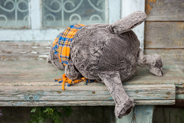 plush toy British cat tries to climb on the bench. Russian village, bench near the old house
