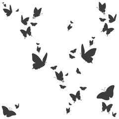 Fototapeta na wymiar Silhouetten von Schmetterlingen