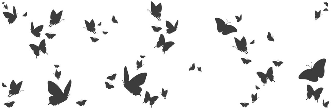Silhouetten von Schmetterlingen