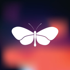Butterfly icon