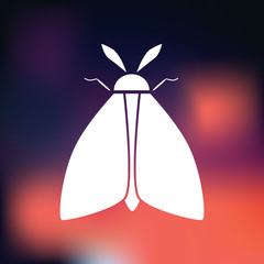Butterfly icon