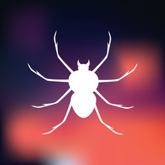 Spider icon