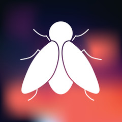 Fly icon