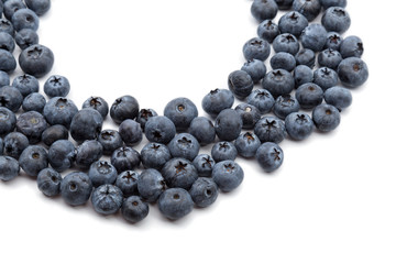 Blueberries on white background