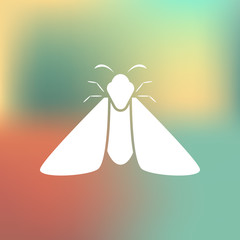 Butterfly icon