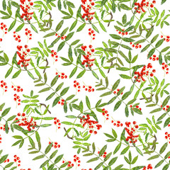 Pattern Rowan.Watercolor drawing made by hand.