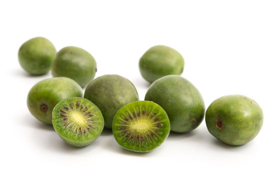 133 Best Baby Kiwi Images Stock Photos Vectors Adobe Stock