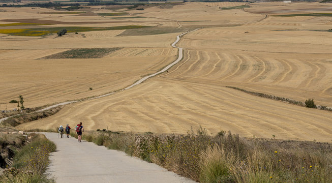 Endless road near Castrojeriz on the Camino de Santiago