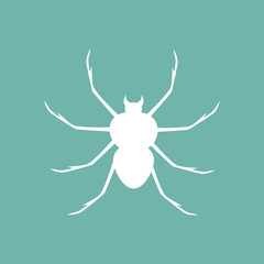 Spider icon