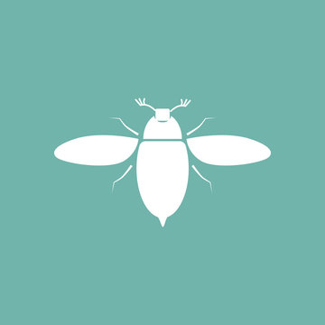 Bug icon