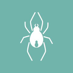Spider icon