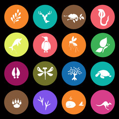 Set of  sixteen nature icons