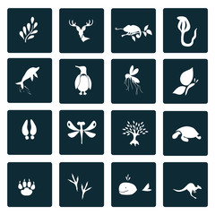Set of  sixteen nature icons