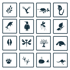 Set of  sixteen nature icons