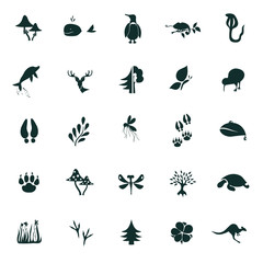 Set of twenty five nature icons