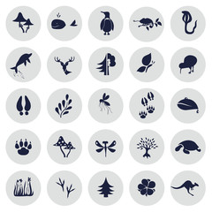 Set of twenty five nature icons