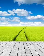 Green field under blue sky. Wood planks floor. Beauty nature bac