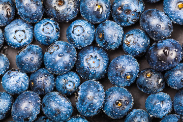blueberries with drops close-up