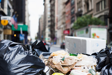 Waste disposal in New York City