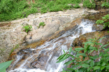 small waterfall or cascade in the forest