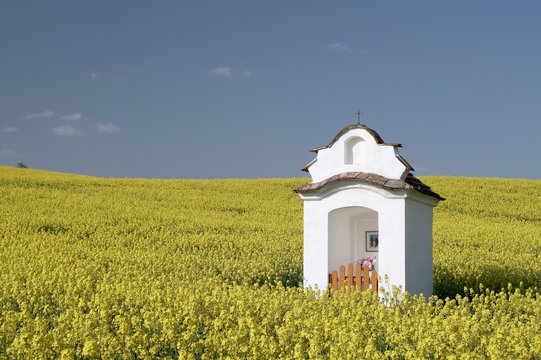 Old baroque niche chapel in the middle of blooming rape field near Kyjov (area of the Moravian Slovakia), Czech Republic.