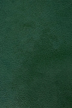 leather texture closeup, useful as background