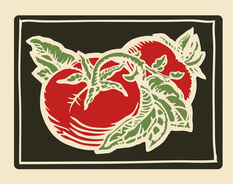 Tomatoes woodcut