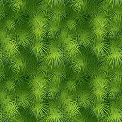 Christmas tree fir branch seamless background. Vector