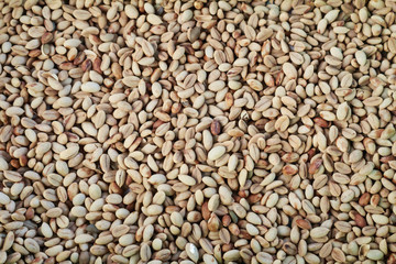 roasted coffee beans, can be used as a background
