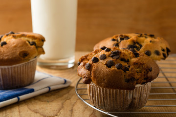 chocolate chip muffins