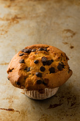 chocolate chip muffin
